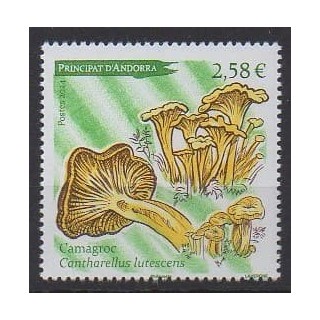 Buy this stamp of French Andorra of the year 2024 (Camagroc).