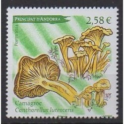 French Andorra - 2024 - Camagroc - Mushrooms