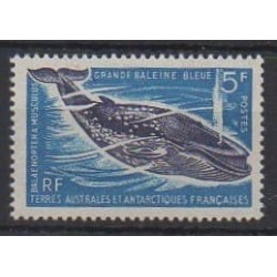 French Southern and Antarctic Territories - Post - 1966 - Nb 22 - Mamals - Sea life - Mint hinged