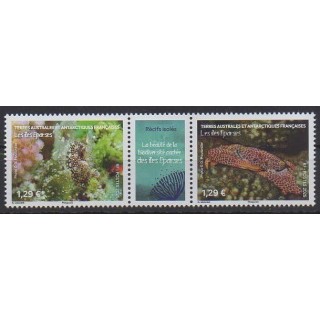 Acheter ce timbre des Terres Australes et Antarctiques Françaises de l'année 2025 (Biodiversité).