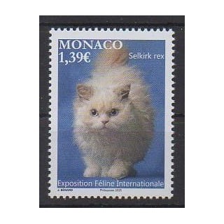 Acheter ce timbre de Monaco de l'année 2025 (Selkirk rex).