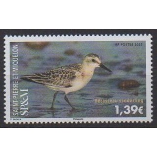 Acheter ce timbre de Saint-Pierre et Miquelon de l'année 2025 (Bécasseau sanderling).