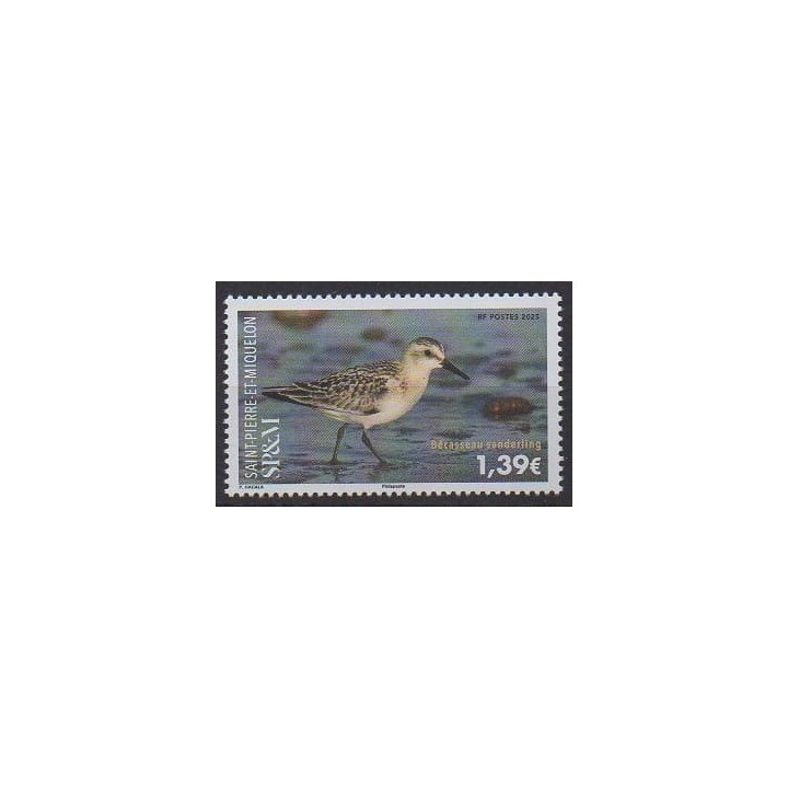Buy this stamp of Saint-Pierre et Miquelon of the year 2025 (Bécasseau sanderling).