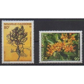 Buy this set of stamps of New Caledonia of the year 1989 (Nb 574/575).