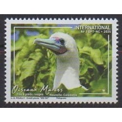 Nouvelle-Calédonie - 2025 - Fou à pieds rouges - Oiseaux
