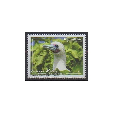 Nouvelle-Calédonie - 2025 - Fou à pieds rouges - Oiseaux