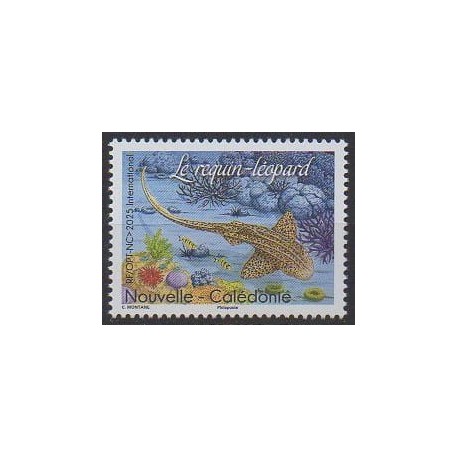 New Caledonia - 2025 - Le requin-Léopard - Sea life