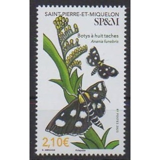 Buy this stamp of Saint-Pierre et Miquelon of the year 2025 (Botys à huit taches).
