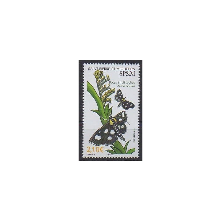 Buy this stamp of Saint-Pierre et Miquelon of the year 2025 (Botys à huit taches).