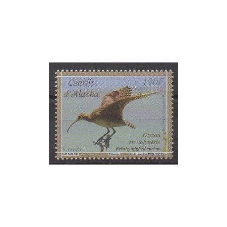 Polynesia - 2025 - Le courlis d'Alaska - Birds