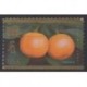 États-Unis - 2011 - No 4317 - Horoscope - Fruits ou légumes