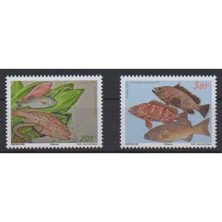 Polynésie - 2025 - Poissons - Vie marine