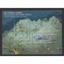 TAAF - 2026 - Les fonds marins - Flore - Vie marine