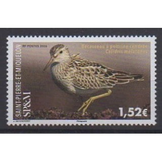 Acheter ce timbre de Saint-Pierre et Miquelon de l'année 2026 (Bécasseau).