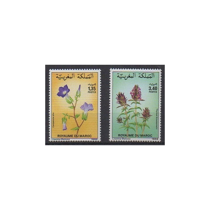 Buy this set of stamps of Morocco of the year 1992 (Nb 1124/1125).