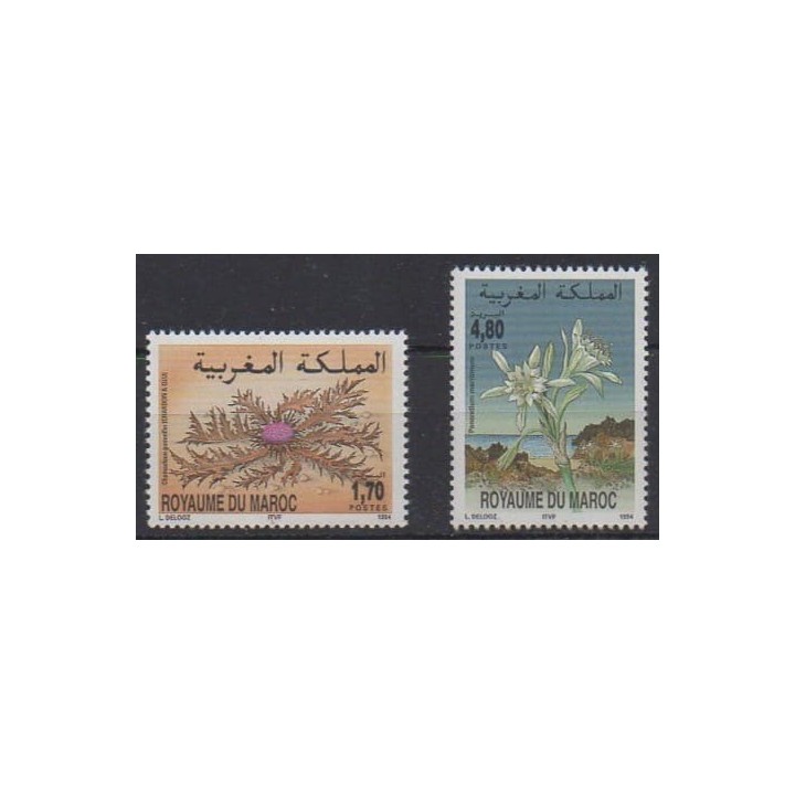 Buy this set of stamps of Morocco of the year 1994 (Nb 1166/1167).