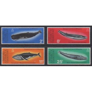 Buy this set of stamps of British Antarctic Territory of the year 1977 (Nb 64/67). - Mint hinged