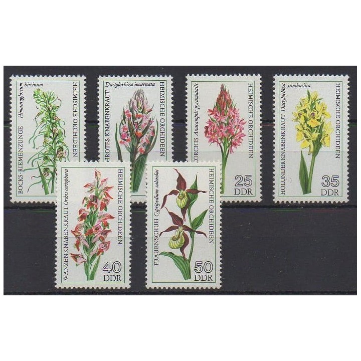 Acheter cette série de timbres d'Allemagne orientale (RDA) de l'année 1976 (No 1811/1816).