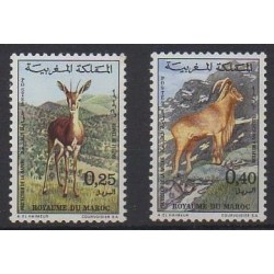 Morocco - 1972 - Nb 646/647 - Mamals - Mint hinged
