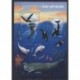 France - Poste - 2026 - Les cétacés - Mamals - Sea life -