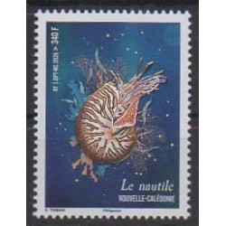 New Caledonia - 2026 - Le nautile - Sea life