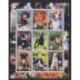 Kosovo - 2000 - 9 valeurs - Dogs - Cats
