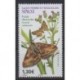 Saint-Pierre et Miquelon - 2026 - Pyrale des landes - Insectes