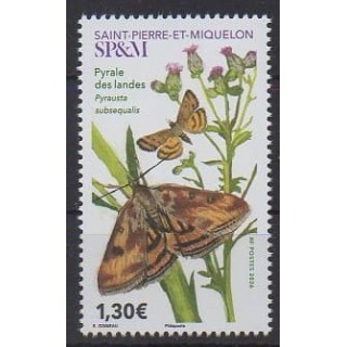 Buy this stamp of Saint-Pierre et Miquelon of the year 2026 (Pyrale des landes).