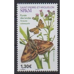 Saint-Pierre et Miquelon - 2026 - Pyrale des landes - Insectes