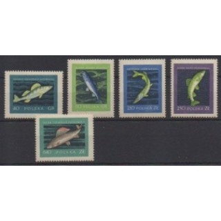 Acheter cette série de timbres de Pologne de l'année 1958 (No 928/932).