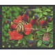 Vanuatu - 1999 - No BF36 - Oiseaux