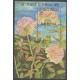Saint Thomas and Prince - 1991 - Nb BF 94 - Roses