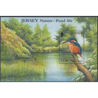 Timbres - Thème oiseaux - Jersey - 2001 - No BF 35