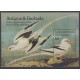 Antigua et Barbuda - 1985 - No BF 91 - Oiseaux