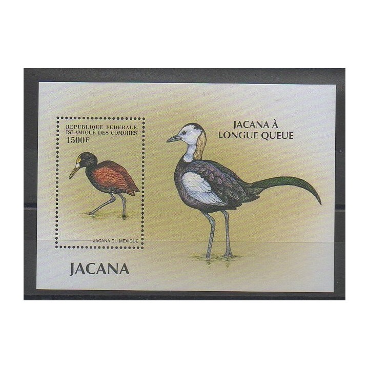 Timbres - Comores - 1999 - No BF78 - Oiseaux