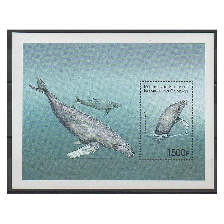 Stamps - Comoros - 1999 - Nb BF86B - Sea animals - Mamals