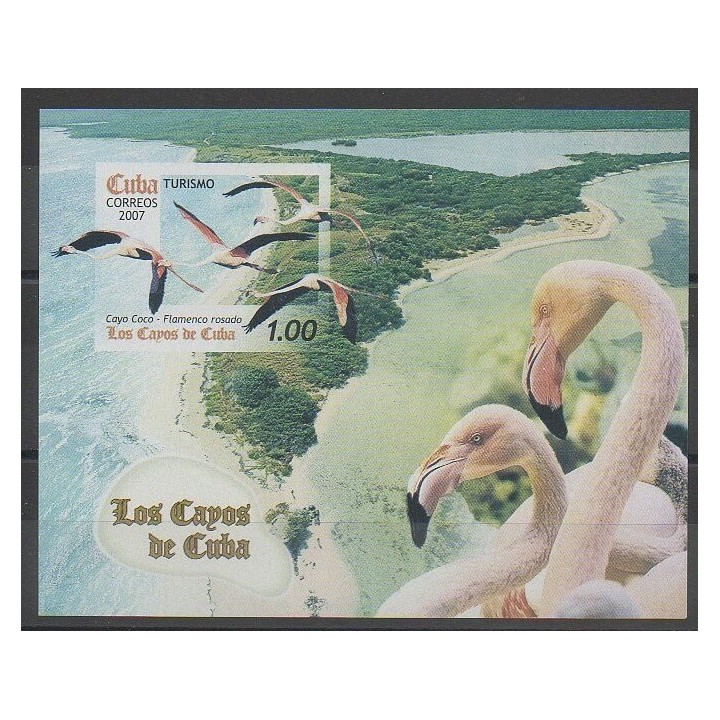 Stamps - Cuba - 2007 - Nb BF226 - Birds
