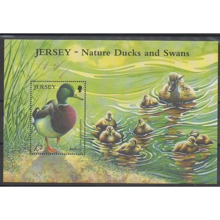 Timbres - Jersey - 2004 - No BF53 - Oiseaux