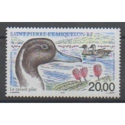 Saint-Pierre et Miquelon - Poste aérienne - 1999 - No PA79 - Oiseaux