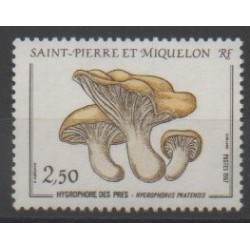 Saint-Pierre et Miquelon - 1987 - No 475 - Champignons