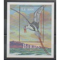 Sierra Leone - 2000 - No BF447 - Oiseaux