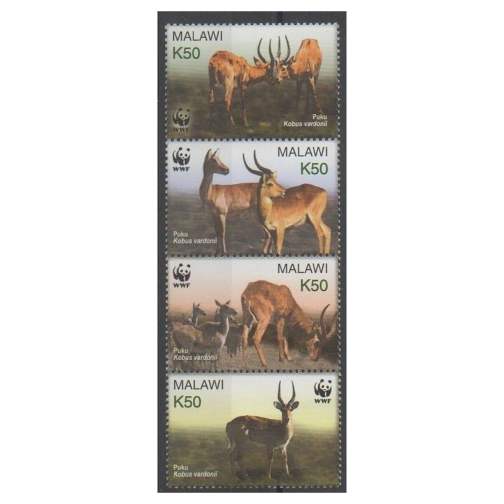 Stamps - Malawi - 2003 - Nb 713/716 - Mamals - Endangered species - WWF