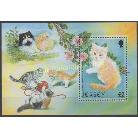 Jersey - 2002 - Nb BF 43 - Cats
