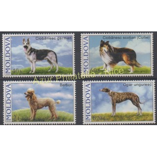 Timbres - Thème chiens et chats - Moldavie - 2006 - No 489/492