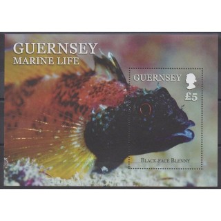Stamps - Guernsey - 2013 - Nb BF79 - Sea animals