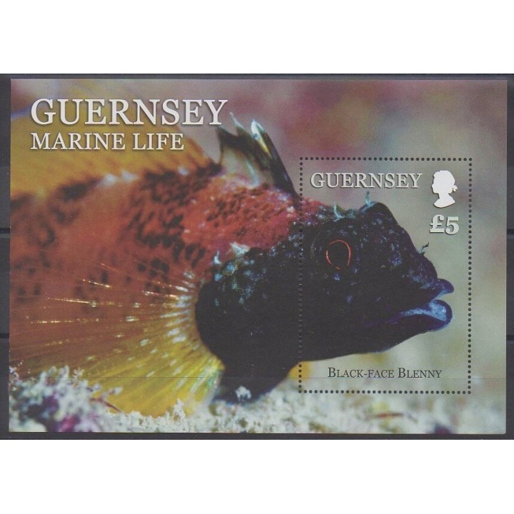 Stamps - Guernsey - 2013 - Nb BF79 - Sea animals