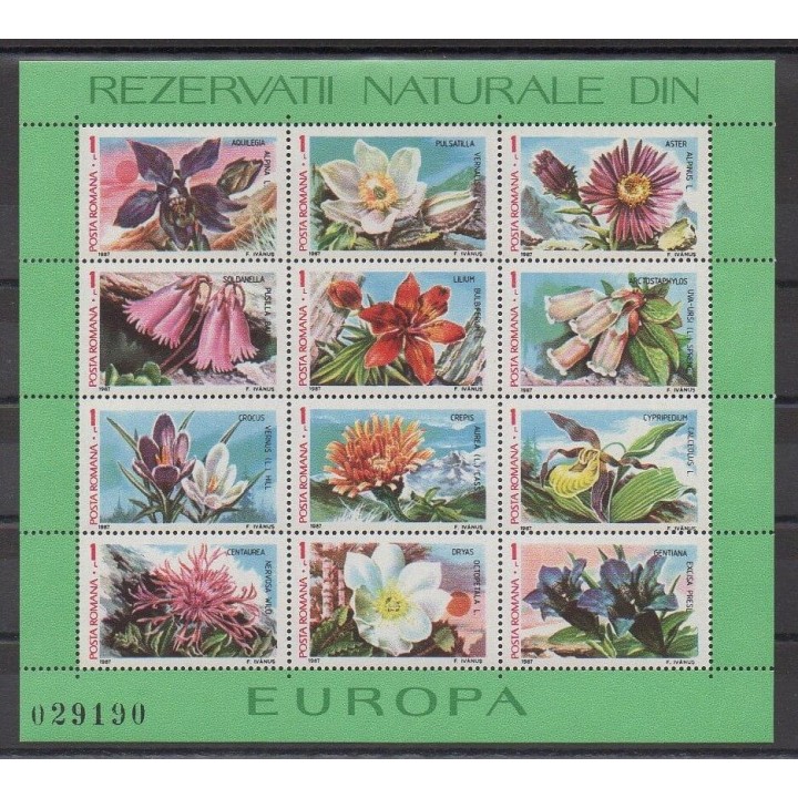 Roumanie - 1987 - No BF191 - Fleurs