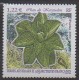 French Southern and Antarctic Territories - Post - 2002 - Nb 333 - Fruits or vegetables