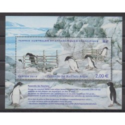 French Southern and Antarctic Territories - Post - 2012 - Nb F638 - Birds