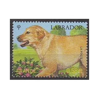 France - Poste - 2011 - Nb 4545 - Dogs